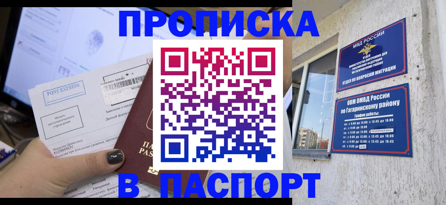 временная регистрация поиск в Благовещенске